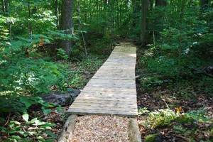 Cedar walkway and woodchips